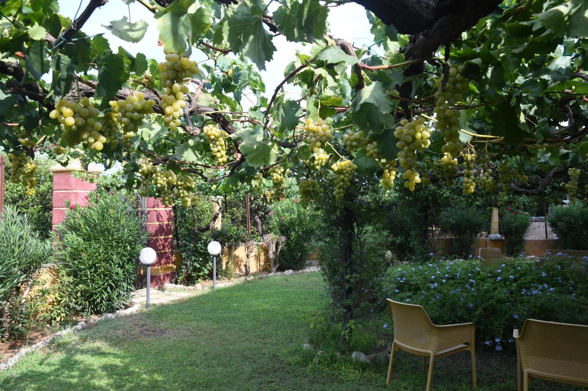 奥利吉欧维拉兰夏住宿加早餐旅馆住宿加早餐旅馆 外观 照片