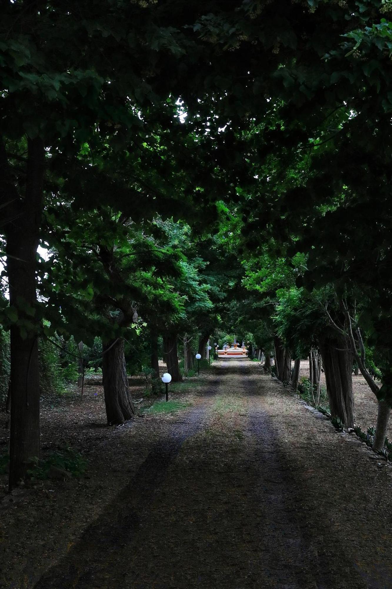 奥利吉欧维拉兰夏住宿加早餐旅馆住宿加早餐旅馆 外观 照片